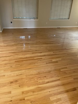 Hardwood floors - Floors refinishing and installation repairs Hardwood floors - Floors refinishing and installation repairs
