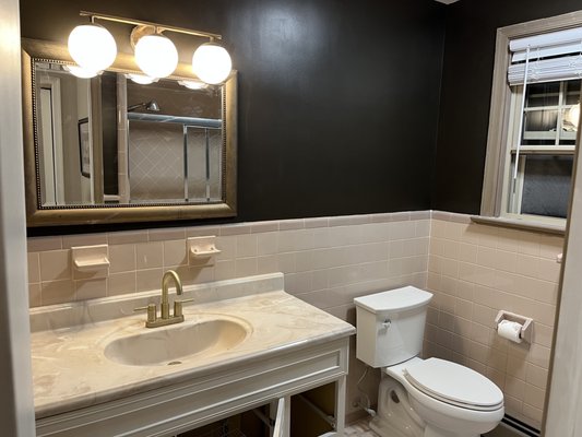 Bathroom Remodel - Bathroom cabinets, light fixture, mirror installation and painting Bathroom Remodel - Bathroom cabinets, light fixture, mirror installation and painting
