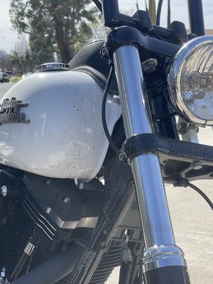 Harley Dyna Detail - Stunning Harley Davidson Dyna with Cams and Ohlin’s suspension.  Customer requested the full treatment,