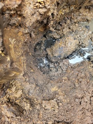 Swerline Repair and Replacement - This was a difficult job, the sewer line had been worked on incorrectly a few times before, and the homeowner still needed to use his sewe Swerline Repair and Replacement - This was a difficult job, the sewer line had been worked on incorrectly a few times before, and the homeowner still needed to use his sewe