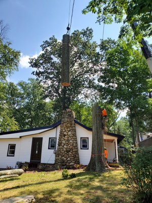 TREE REMOVAL - Emergency tree removal, we saved a roof from being damaged before the anticipated storm. TREE REMOVAL - Emergency tree removal, we saved a roof from being damaged before the anticipated storm.
