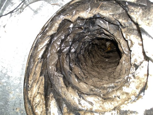 Deep air duct cleaning - Do you know how your vents look inside?
Our customer just bought the house and called us to client the air ducts and make sure everything is clear
Now he knows Deep air duct cleaning - Do you know how your vents look inside?
Our customer just bought the house and called us to client the air ducts and make sure everything is clear
Now he knows