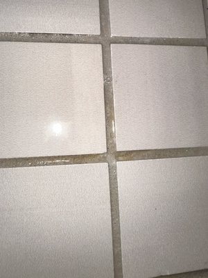 This is a move out cleaning I did for a property manager we work closely with to do a move out clean.  It was a 2 bedroom 1 bath. - This move out cleaning was a 2 bedroom 1 bathroom left in not great condition by tenants. We came in and cleaned top to bottom. Including baseboards cabinets oven fridge etc.