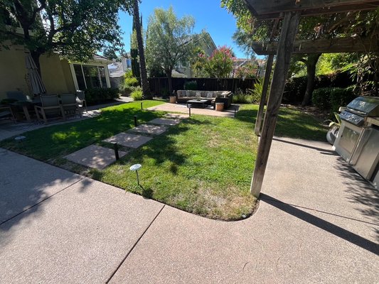Danville CA - Client was tired of maintaining his sod. It kept drying out on several spots, and was spending too much money and time on keeping it alive; not even fully green anymore. Danville CA - Client was tired of maintaining his sod. It kept drying out on several spots, and was spending too much money and time on keeping it alive; not even fully green anymore.