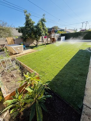 Sod Jobs - New Sod collab