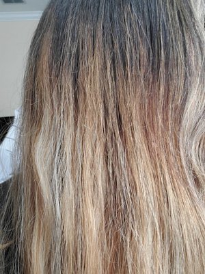 Balayage update/tone service - Updating balayage grow out Balayage update/tone service - Updating balayage grow out