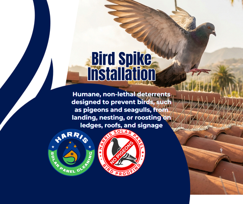 Bird Spike Installation - Harris Solar Panel Cleaning & Solar Panel Rod Proofing – Bird Spike Installation
Harris Solar Panel Cleaning specializes in protecting your home and solar investment with professional solar panel cleaning, bird proofing, and bird spike installation services. We help homeowners prevent costly damage caused by pigeons, birds, and rodents nesting under solar panels, rooflines, and ledges.
Bird droppings, nesting debris, and chewing pests can reduce solar efficiency, clog gutters, damage wiring, and create long-term roof issues. Our solar panel bird proofing and bird spike solutions are designed to stop these problems before they start—without harming birds or affecting the appearance of your home.
We use high-quality, weather-resistant bird spikes and exclusion systems that deter birds from landing and nesting on roofs, solar panels, eaves, fences, and architectural ledges. Our methods are humane, effective, and compliant with wildlife protection standards.
In addition to bird control, we provide professional solar panel cleaning to remove dirt, dust, pollen, and bird droppings that block sunlight and reduce energy output. Clean panels can significantly improve solar performance and help extend the lifespan of your system.
Our services include:
* Solar panel bird proofing and rodent exclusion
* Bird spike installation for roofs, ledges, solar panels, and eaves
* Solar panel cleaning for improved efficiency
* Removal of existing nests and debris
* Preventative maintenance solutions for residential homes
Homeowners choose Harris Solar Panel Cleaning because we are reliable, detail-oriented, and focused on long-term protection—not quick fixes. We show up on time, explain the process clearly, and treat every home as if it were our own.
If you’re noticing birds under your solar panels, increased droppings, strange noises, or reduced solar output, it’s time to act. Early bird proofing saves money, prevents damage, and protects your roof and solar system for years to come.
Contact Harris Solar Panel Cleaning today for trusted solar panel bird proofing, bird spike installation, and solar panel cleaning you can count on. Bird Spike Installation - Harris Solar Panel Cleaning & Solar Panel Rod Proofing – Bird Spike Installation
Harris Solar Panel Cleaning specializes in protecting your home and solar investment with professional solar panel cleaning, bird proofing, and bird spike installation services. We help homeowners prevent costly damage caused by pigeons, birds, and rodents nesting under solar panels, rooflines, and ledges.
Bird droppings, nesting debris, and chewing pests can reduce solar efficiency, clog gutters, damage wiring, and create long-term roof issues. Our solar panel bird proofing and bird spike solutions are designed to stop these problems before they start—without harming birds or affecting the appearance of your home.
We use high-quality, weather-resistant bird spikes and exclusion systems that deter birds from landing and nesting on roofs, solar panels, eaves, fences, and architectural ledges. Our methods are humane, effective, and compliant with wildlife protection standards.
In addition to bird control, we provide professional solar panel cleaning to remove dirt, dust, pollen, and bird droppings that block sunlight and reduce energy output. Clean panels can significantly improve solar performance and help extend the lifespan of your system.
Our services include:
* Solar panel bird proofing and rodent exclusion
* Bird spike installation for roofs, ledges, solar panels, and eaves
* Solar panel cleaning for improved efficiency
* Removal of existing nests and debris
* Preventative maintenance solutions for residential homes
Homeowners choose Harris Solar Panel Cleaning because we are reliable, detail-oriented, and focused on long-term protection—not quick fixes. We show up on time, explain the process clearly, and treat every home as if it were our own.
If you’re noticing birds under your solar panels, increased droppings, strange noises, or reduced solar output, it’s time to act. Early bird proofing saves money, prevents damage, and protects your roof and solar system for years to come.
Contact Harris Solar Panel Cleaning today for trusted solar panel bird proofing, bird spike installation, and solar panel cleaning you can count on.