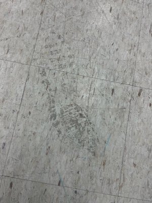 VCT Floor Buffing/Polishing - Big thanks to @Nail Addikts Depot for trusting us!!!