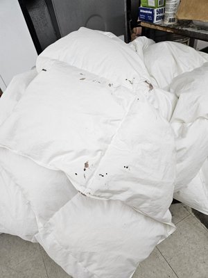 Comforter Cleaning - Comforter stain removal
