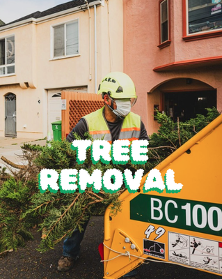 Tree Removal Services - Our business provides professional tree services since 2012 with over 20 years experience. We specialize in Tree pruning, Tree removals, and Stump grinding. Call today to get your free estimate! Tree Removal Services - Our business provides professional tree services since 2012 with over 20 years experience. We specialize in Tree pruning, Tree removals, and Stump grinding. Call today to get your free estimate!
