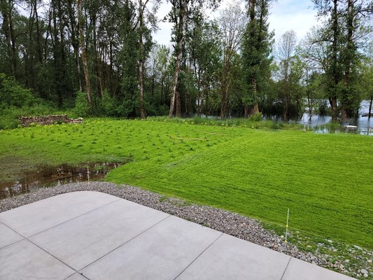 Masonry Concrete - Concrete/Masonry/Gardening