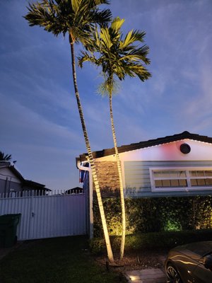 Landscape lighting  Job - Please call us ( 305-204-2000 ) , for a good services of landscape lighting
