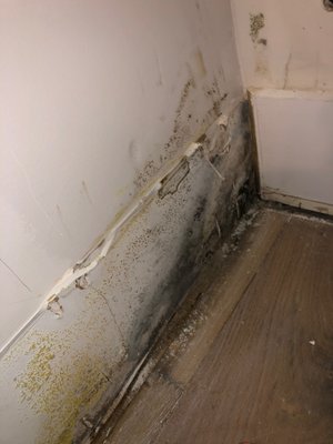Mold remediation process step by step - Basement closet had lack of air circulation and exterior water intrusion which lead to mold remediation causing drywall removal, mold treatment, encapsulation, insulation, repairing exposed structure, plastering and painting.