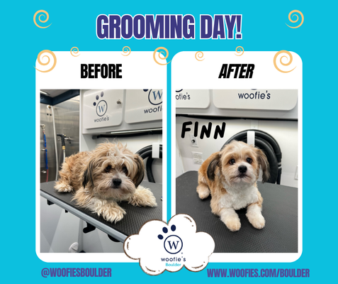 Mobile Grooming Service - Our mobile pet spa services include a full range of grooming options, such as bathing, brushing, nail trimming, ear cleaning, and more. You can trust us to provide gentle, caring care for your furry friend while giving them a fresh new look. We pull right up to your front door offering convenient, comfortable service for your pet! Mobile Grooming Service - Our mobile pet spa services include a full range of grooming options, such as bathing, brushing, nail trimming, ear cleaning, and more. You can trust us to provide gentle, caring care for your furry friend while giving them a fresh new look. We pull right up to your front door offering convenient, comfortable service for your pet!