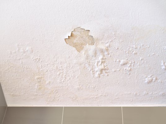 Drywall Repairs - Holes, Water Damage, & more - Drywall Repairs - Holes, Water Damage, & more Drywall Repairs - Holes, Water Damage, & more - Drywall Repairs - Holes, Water Damage, & more