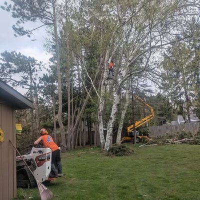 Transform Your Trees With Professional Trimming Services - At EPIC Tree Care in Green Bay, WI, we offer top-notch residential and commercial tree trimming services to enhance the health and appearance of your trees. Our skilled team is equipped to handle trees of all types and sizes, ensuring that unwanted limbs and sucker growth are effectively removed. This process not only helps your trees thrive but also promotes proper growth and minimizes hazards. 



Call us today at (920) 629-9476 for a free estimate, and let us help you keep your landscape looking its best.