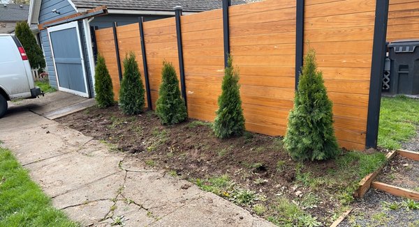 Modern Privacy fence - Custom built fence. Black painted 4x4s with a slot cut on the sides to fit in Tiger decking, with 5 emerald green arborvitae trees planted in front. This job took 3 days to complete. Modern Privacy fence - Custom built fence. Black painted 4x4s with a slot cut on the sides to fit in Tiger decking, with 5 emerald green arborvitae trees planted in front. This job took 3 days to complete.