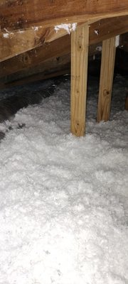 rodent and wildlife preventive/exclusion services - insulation level improvement will help you to lower your home temperature and save some money in your bill too rodent and wildlife preventive/exclusion services - insulation level improvement will help you to lower your home temperature and save some money in your bill too