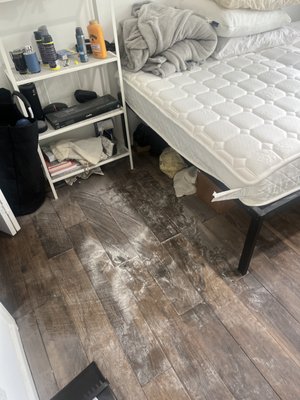 Student Home - This was a small but messy job. A college student needed us to clean his bedroom and his bathroom which were both filthy. We brung it back to life with a good deep clean. !
