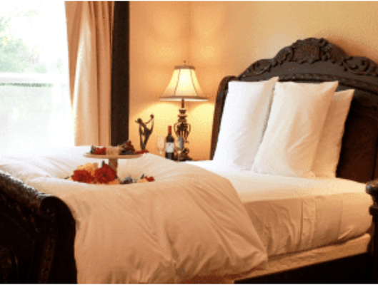 Amber Mini suite - AMBER MINI- SUITE
DELUXE ROOMS ON THE WATER 
Enjoy the warmth and luxury of our upstairs mini-suite. Anchored around a large Cal-King Bed and inviting fireplace, the Amber Suite is tastefully decorated with leather chairs, cork flooring, bronze statues to offer an antique charm without sacrificing modern amenities, such as a 42’’ HDTV, WiFi, and mini refrigerator stocked with complimentary water. From your window, you can soak in a marvelous view of the grand trees, pool, and deck below.