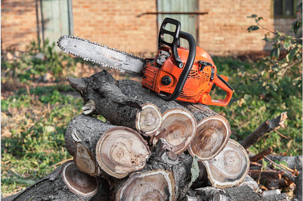 Tree Services - Tree Services Residential & Commercial