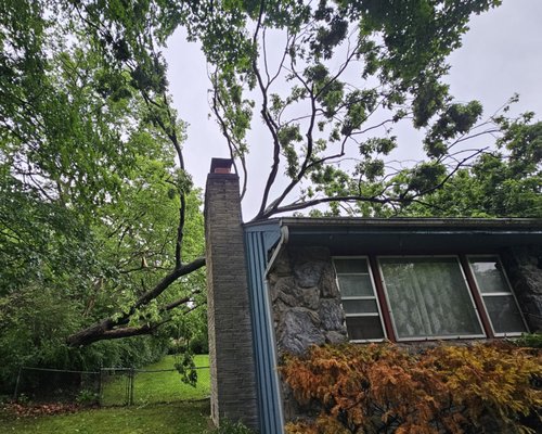 Removing fallen tree from customer's roof & tarping. - In this situation our clients tree broke in half & fell on their roof. We came in & removed the fallen half of the tree & installed a tarp on the roof due to damages caused by the tree. We do this so the client has time to find a roofing company & will not have a water leak into the house.