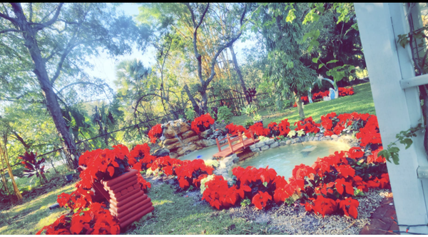 Fountain Services - Gifted pools isn't just limited to pools, we also service fountains, spas and most chemically treated bodies of water!