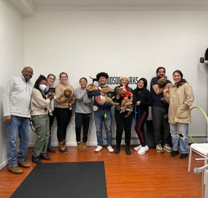 Group Classes - Groups for pups, teens, and adult dogs. In Jersey City, in small groups to maximize your success. Experience dog trainers using only positive reinforcement methods. Check the website for registration for groups, and to send inquiries for private training, workshops like leash workshops or CGC prep courses.