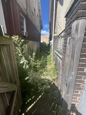 Before and after overgrowth with grass debris removal Donora Pa - Sometimes things get a little out of hand, that’s when you can rely on your neighborhood lawn hero, rebel roots landscaping, to bring a semblance of order back to your yard. We deal with these cases daily and would love to help you in your next steps whether buying a home or revamping a rental call for a quote! Before and after overgrowth with grass debris removal Donora Pa - Sometimes things get a little out of hand, that’s when you can rely on your neighborhood lawn hero, rebel roots landscaping, to bring a semblance of order back to your yard. We deal with these cases daily and would love to help you in your next steps whether buying a home or revamping a rental call for a quote!