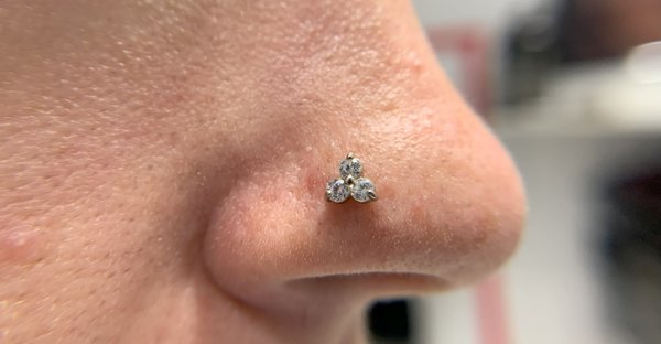 Nose Piercings - We offer nostril piercings and septum piercings with titanium and 14K gold jewelry. 
As an APP studio we have high standards of cleaning and professional pierces that will take you step by step in a calm piercing process.