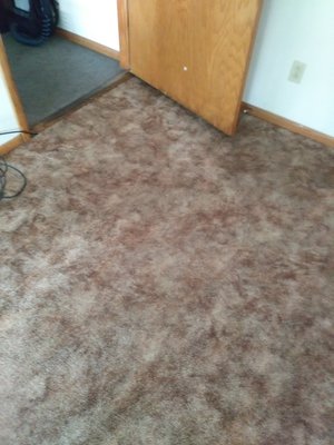 Carpet and upholstery cleaning - just an example of some of my work Carpet and upholstery cleaning - just an example of some of my work
