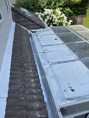 Raccoon Exclusion - Client reported having raccoons over the past couple years and replacing the rubber membrane was not a long term solution. We inspected the home and provided and completed a full home exclusion of the gutterline to prevent raccoons from re-entering the home. Due to babies being present the hole will be left open for 4-6 weeks before a door is applied allowing all raccoons to leave safely. Raccoon Exclusion - Client reported having raccoons over the past couple years and replacing the rubber membrane was not a long term solution. We inspected the home and provided and completed a full home exclusion of the gutterline to prevent raccoons from re-entering the home. Due to babies being present the hole will be left open for 4-6 weeks before a door is applied allowing all raccoons to leave safely.