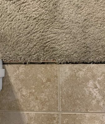 Carpet Repair - Carpet repair services. 
Stretching. Patching. Color correction. And more