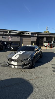Shelby Mustang Stripes - This Shelby GT350 came in for a fresh set of OEM-style racing stripes, bringing back that clean, factory-inspired look it deserves. Precision installation, proper alignment, and a refreshed finish that keeps the Shelby heritage looking sharp. Shelby Mustang Stripes - This Shelby GT350 came in for a fresh set of OEM-style racing stripes, bringing back that clean, factory-inspired look it deserves. Precision installation, proper alignment, and a refreshed finish that keeps the Shelby heritage looking sharp.