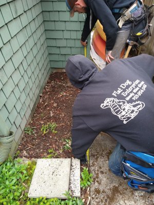 Building a planted box - Built a gardening planter box where there was nothing before.