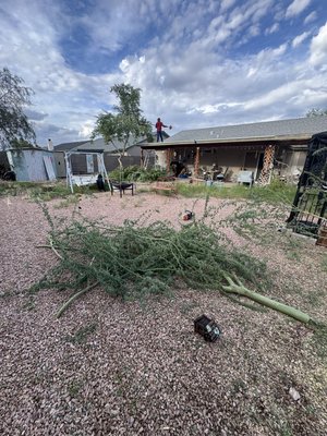 Completed a full property cleanup in Apache Junction, - Completed a full property cleanup in Apache Junction, including removal of debris and unwanted vegetation, leaving the area clean, neat, and well-maintained. Completed a full property cleanup in Apache Junction, - Completed a full property cleanup in Apache Junction, including removal of debris and unwanted vegetation, leaving the area clean, neat, and well-maintained.
