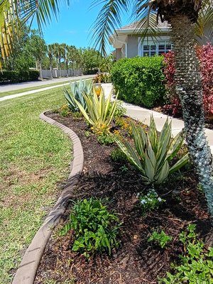 Landscaping - Landscaping Landscaping - Landscaping