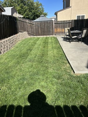 Vacaville Lawn Maintenance - This project was a full lawn maintenance service in Vacaville. The yard had overgrown grass and weeds, so we performed a complete mow, edge, and cleanup. After trimming everything evenly and creating clean lines around the walkway and fence, the lawn now looks neat, healthy, and well-maintained.