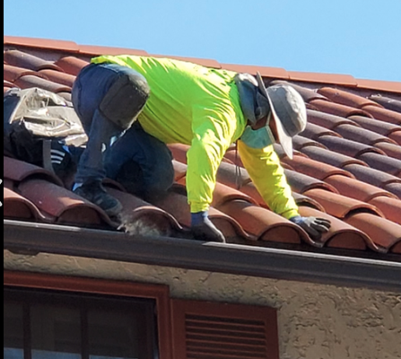 Rain Gutter Cleaning - We specialize in rain gutter cleaning, roof cleaning, solar panel cleaning, and pressure washing. Rain Gutter Cleaning - We specialize in rain gutter cleaning, roof cleaning, solar panel cleaning, and pressure washing.