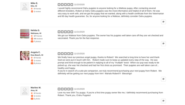 More 5-Star Yelp Reviews! - Check out these reviews from more dog parents who have chosen Oahu Puppies!

Call today with any questions!