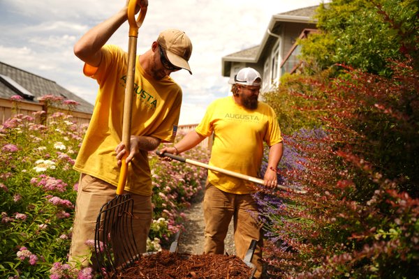 Cleanup Services - This small cleanup involved trimming of the bushes and installing bark in the flowerbeds!