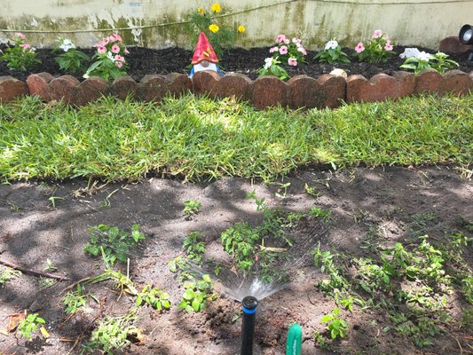 Irrigation - My plan is to treat your yard, like it's my own to get your irrigation system running a 100%, making sure everything has coverage. Your pump is working correctly. Suction line controller heads are flush in the ground, so landscape. Lawnmowers are not run them over and make any adjustments that are necessary