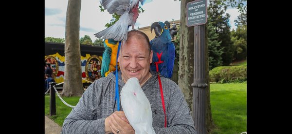 2025 Parties By Parrots - Birds of 2025 shows available! 2025 Parties By Parrots - Birds of 2025 shows available!