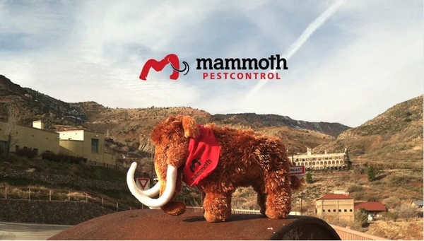 Pest Control - Mammoth Pest Control provides reliable, easy to schedule pest control that eliminate Flagstaff and Northern Arizona's most persistent pests - including termites! If you're seeking a reputable pest control company in the greater Flagstaff area to treat your residence or business, your search should start and end with Mammoth Pest Control. Our established, locally operated company provides attentive customer care and quality pest control for properties of all sizes, and we'd appreciate nothing more than the opportunity to earn your business and your trust. No pest problem is too big or too small for us to handle with speed and efficiency, and we offer an array of services to deal with a wide range of pests. Pest Control - Mammoth Pest Control provides reliable, easy to schedule pest control that eliminate Flagstaff and Northern Arizona's most persistent pests - including termites! If you're seeking a reputable pest control company in the greater Flagstaff area to treat your residence or business, your search should start and end with Mammoth Pest Control. Our established, locally operated company provides attentive customer care and quality pest control for properties of all sizes, and we'd appreciate nothing more than the opportunity to earn your business and your trust. No pest problem is too big or too small for us to handle with speed and efficiency, and we offer an array of services to deal with a wide range of pests.