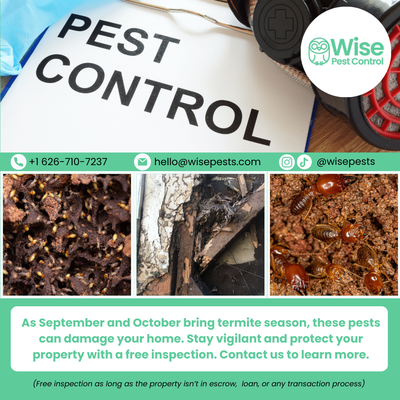 Wise Pest Control - Termite Season - As termite season approaches, protecting your home from potential damage is essential. Termites can be a destructive force, causing costly repairs if left unchecked. However, with the proper precautions and regular maintenance, you can significantly reduce the risk of termite infestations. Remember that prevention is vital when it comes to termites. Taking proactive steps now can save you a lot of trouble and expense in the long run. Don't let these tiny pests jeopardize the safety and value of your home. For a termite-free and worry-free season, call Wise Pest Control today to book a free inspection.🏡🐜 #wisepestcontrol #qualityservice #communityfirst #PestFreeLiving Wise Pest Control - Termite Season - As termite season approaches, protecting your home from potential damage is essential. Termites can be a destructive force, causing costly repairs if left unchecked. However, with the proper precautions and regular maintenance, you can significantly reduce the risk of termite infestations. Remember that prevention is vital when it comes to termites. Taking proactive steps now can save you a lot of trouble and expense in the long run. Don't let these tiny pests jeopardize the safety and value of your home. For a termite-free and worry-free season, call Wise Pest Control today to book a free inspection.🏡🐜 #wisepestcontrol #qualityservice #communityfirst #PestFreeLiving