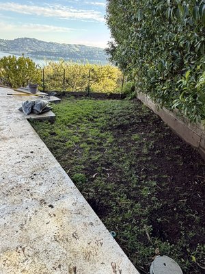 We removed the natural grass and installed artificial turf. - We removed the natural grass and installed artificial turf.