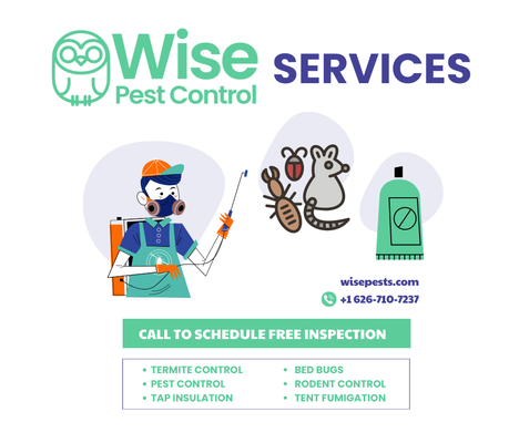 Wise Pest Control Services - At Wise Pest Control, we provide top-notch pest control solutions that cater to your unique needs. Our team of experts is equipped with the latest techniques and eco-friendly products to ensure effective pest eradication. Experience the joy of pest-free home with our trusted services. Contact us today! Wise Pest Control Services - At Wise Pest Control, we provide top-notch pest control solutions that cater to your unique needs. Our team of experts is equipped with the latest techniques and eco-friendly products to ensure effective pest eradication. Experience the joy of pest-free home with our trusted services. Contact us today!