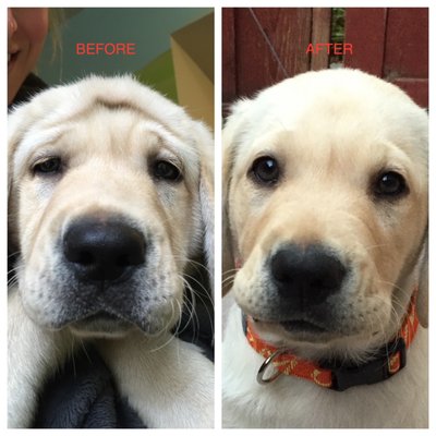 The miracle that is Botox - Aren't the results Simply Amazing?!!! The miracle that is Botox - Aren't the results Simply Amazing?!!!