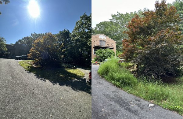 Brush job - Brush removal and leaf removal job as well as cutting back bushes Brush job - Brush removal and leaf removal job as well as cutting back bushes