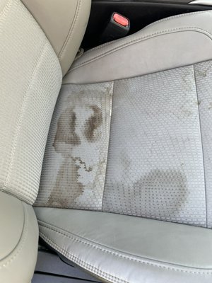 Stain removal! - This was a fun one today we did on a great new customer who found us on Yelp! Camry got the TLC it deserved!